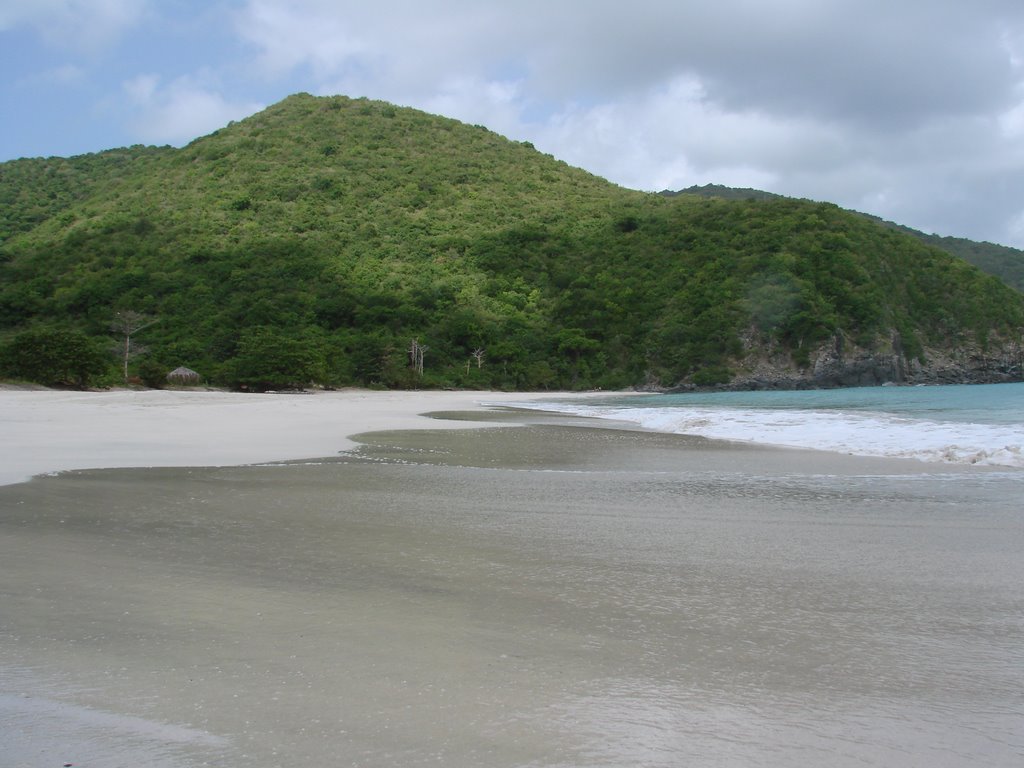 Convent Bay by Nico Davis