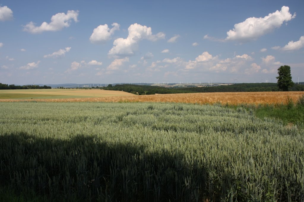 Chaseplatz Haxterberg Blick nach Osten by Buschecke