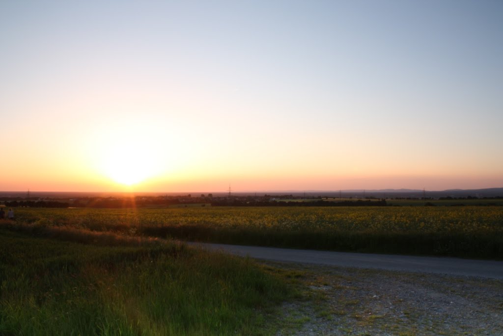 Chaseplatz bei Benhausen Blick nach Nord-Nord-West by Buschecke