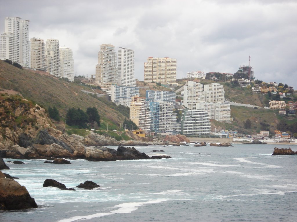 Cochoa, Viña del Mar, Chile by Agustín Olivares