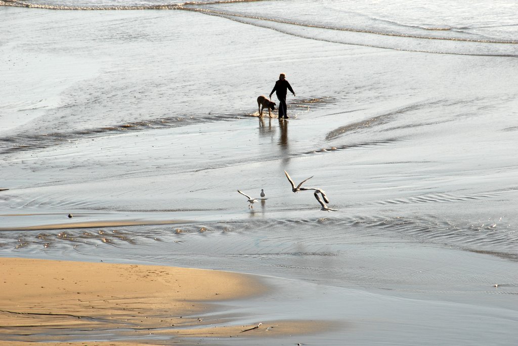 San Gregorio Beach strolling with dog by Lee Lukehart