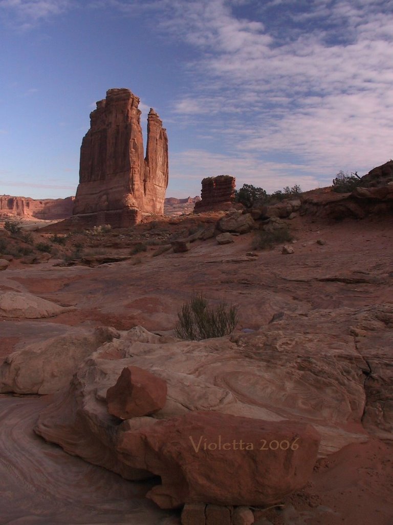 The Organ from Park Avenue by vetaAL