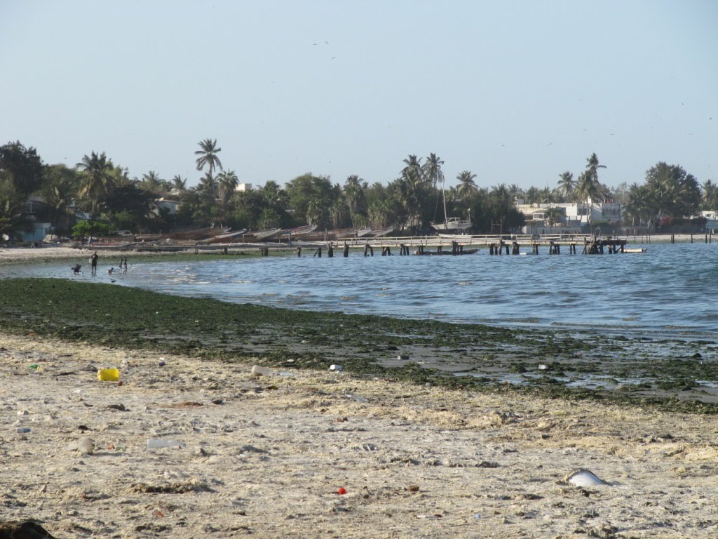 Baie de Hann, palmiers, plage déserte et polluée by Alain Lamotte