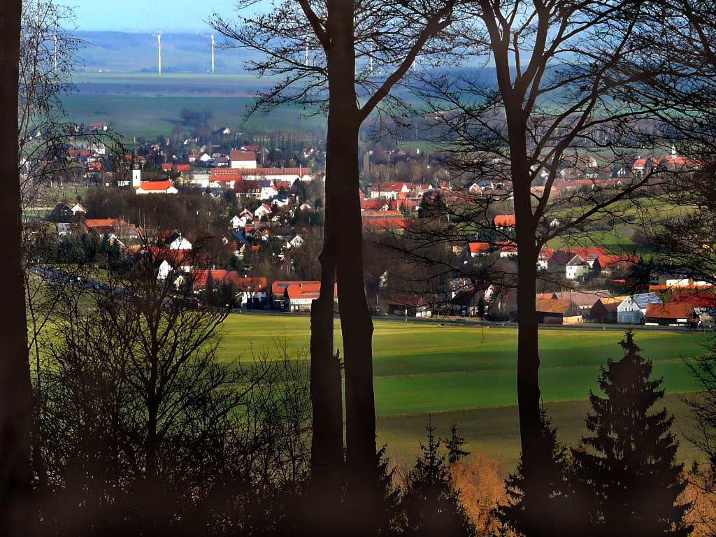 Blick auf Großhennersdorf by jügla