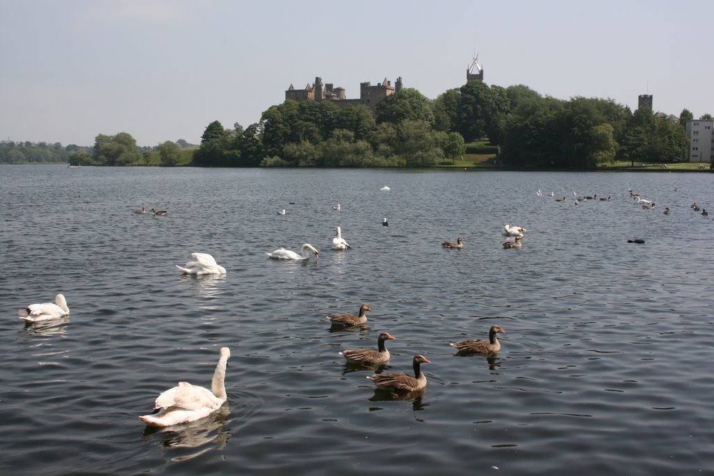 Linlithgow Palace from Loch by Kevin Rae