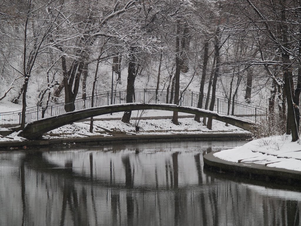 Bridge over lake by alx_drg