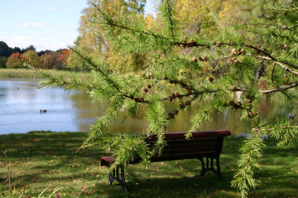 Jardin Botanique, Montreal, Canada by Marc Dupuis