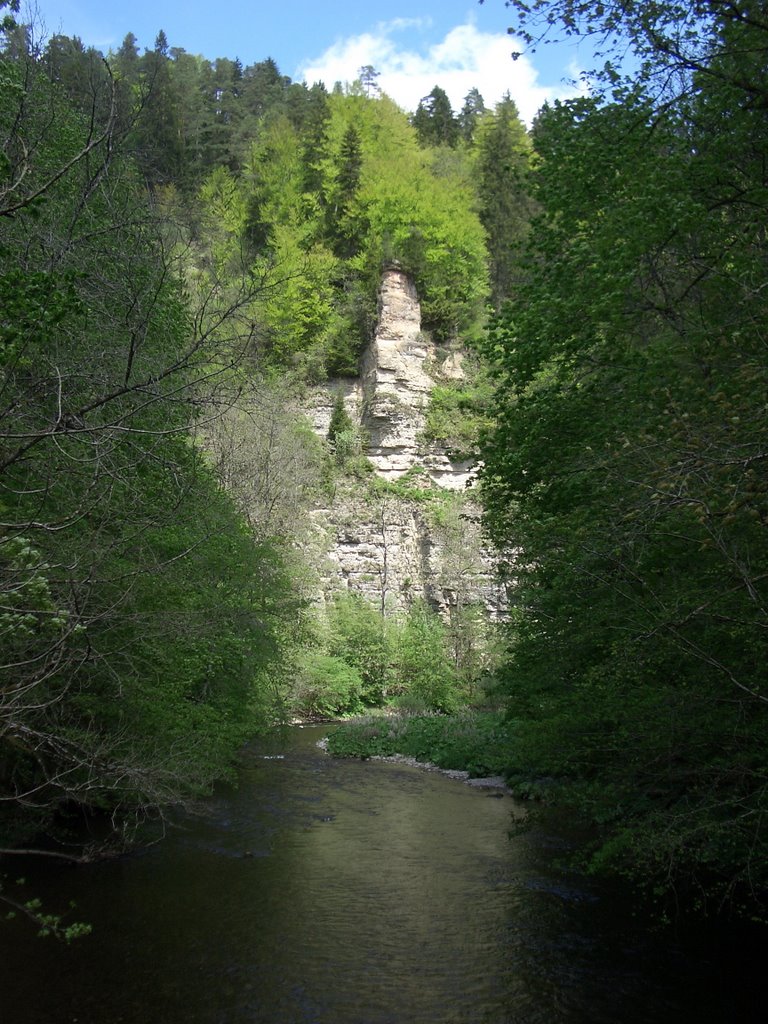 Wutachschlucht by Björn Rohr