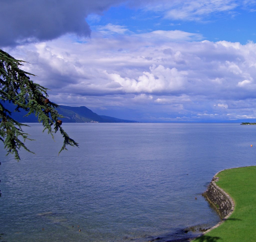 View over lake Geneva by Daniel80