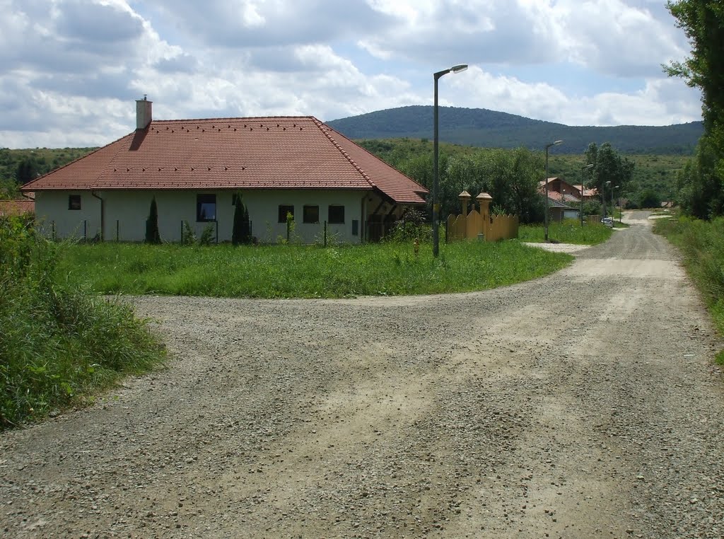 201007291318 Pomáz, Wass Albert utca (a Jóbarátok útja felől) by Harmadik