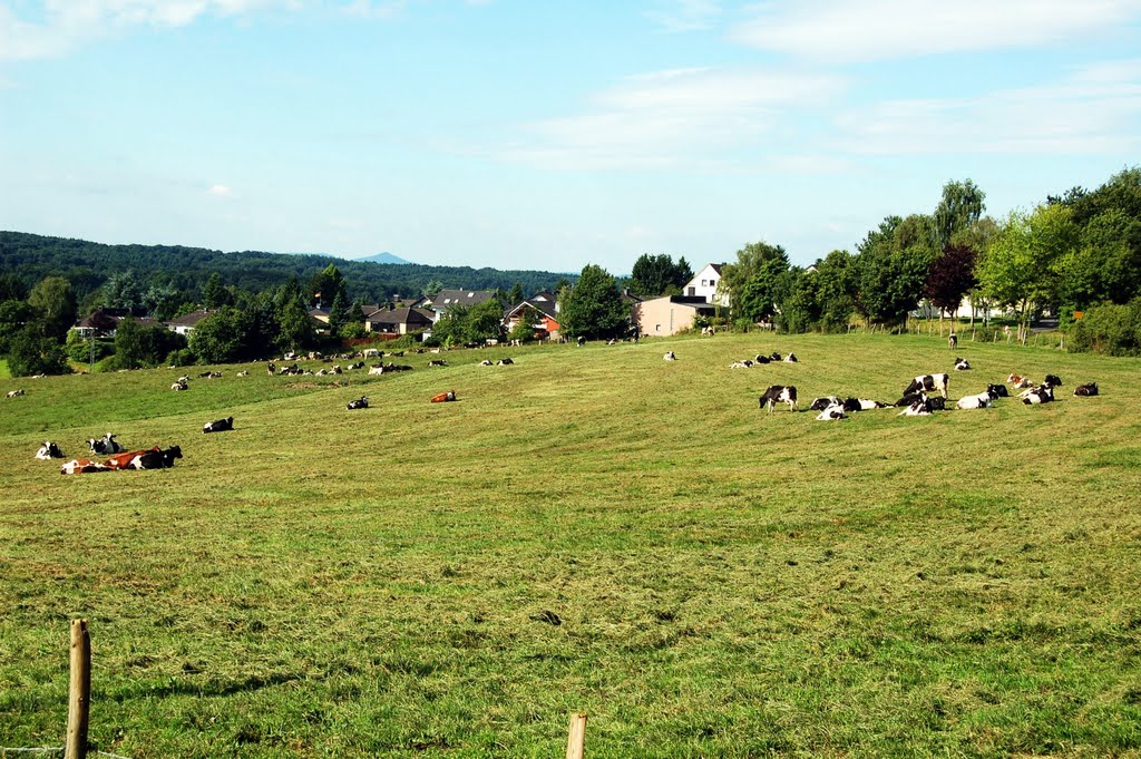 Blick Richtung Winterscheid by Hatti1