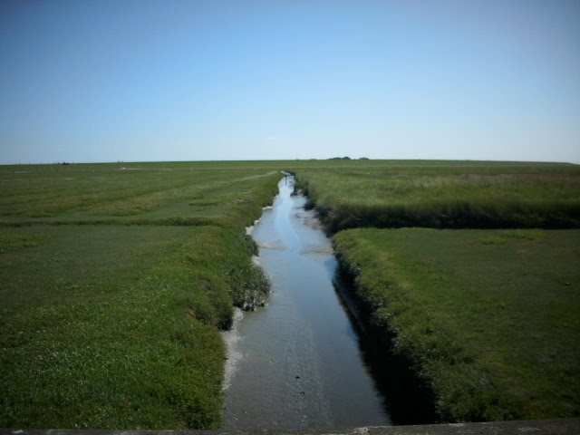 St. Peter - Ording, Urlaub Juli 2010 by co-koe