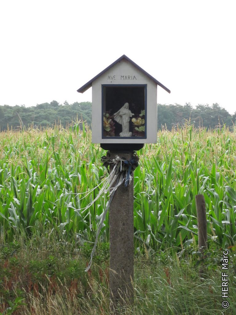 Sterbos: Marienstatue by Wandern in Ostbelgien