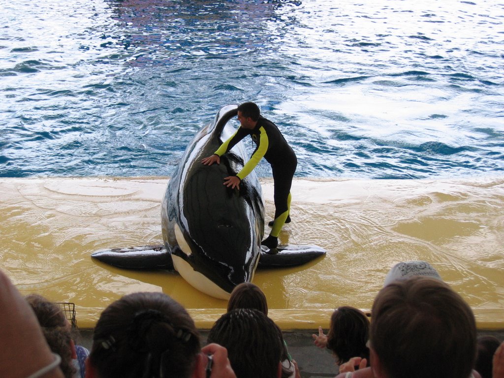 Loro Parque by misifusc