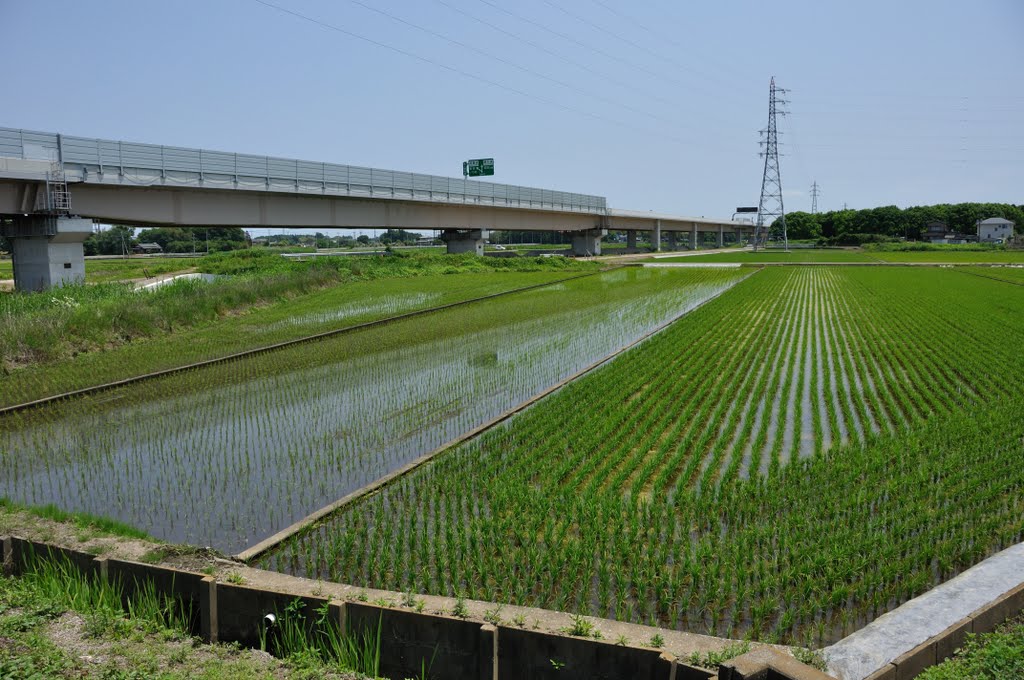 小野川,圏央道,20100605 by potiyama