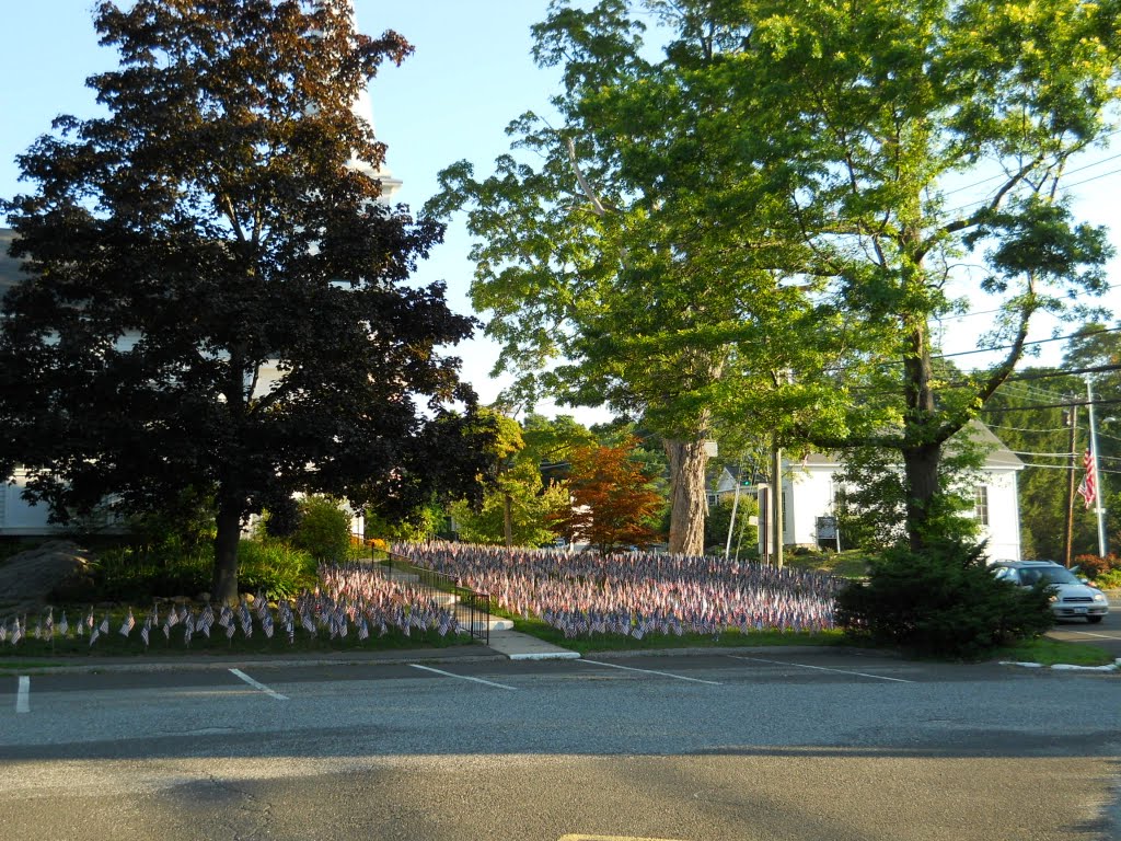 Field of Flags by mhkykr