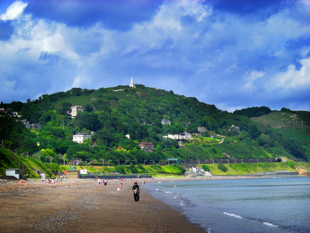 Killiney Hill, Co. Dublin, July 2010 by Owen J Fitzpatrick