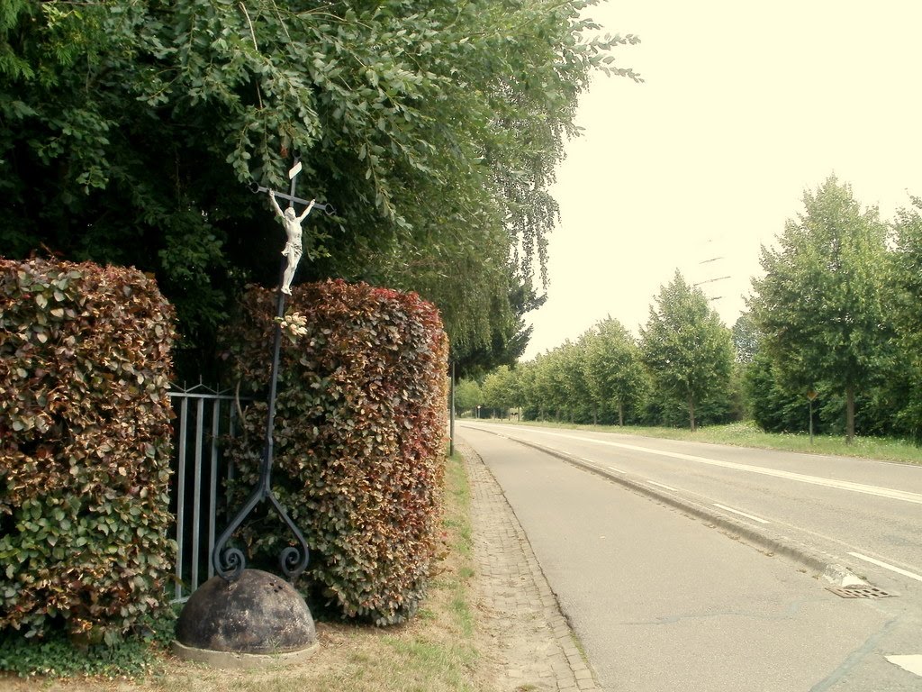 Hoek-Kruis Hekerweg-Boschweg. 31 Juli 2010 by Gerold Vluggen