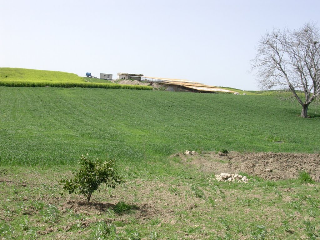 Gohar tepe archaeological zone-منطقه باستان شناسی گوهر تپه بهشهر by Mahmood-Safavi