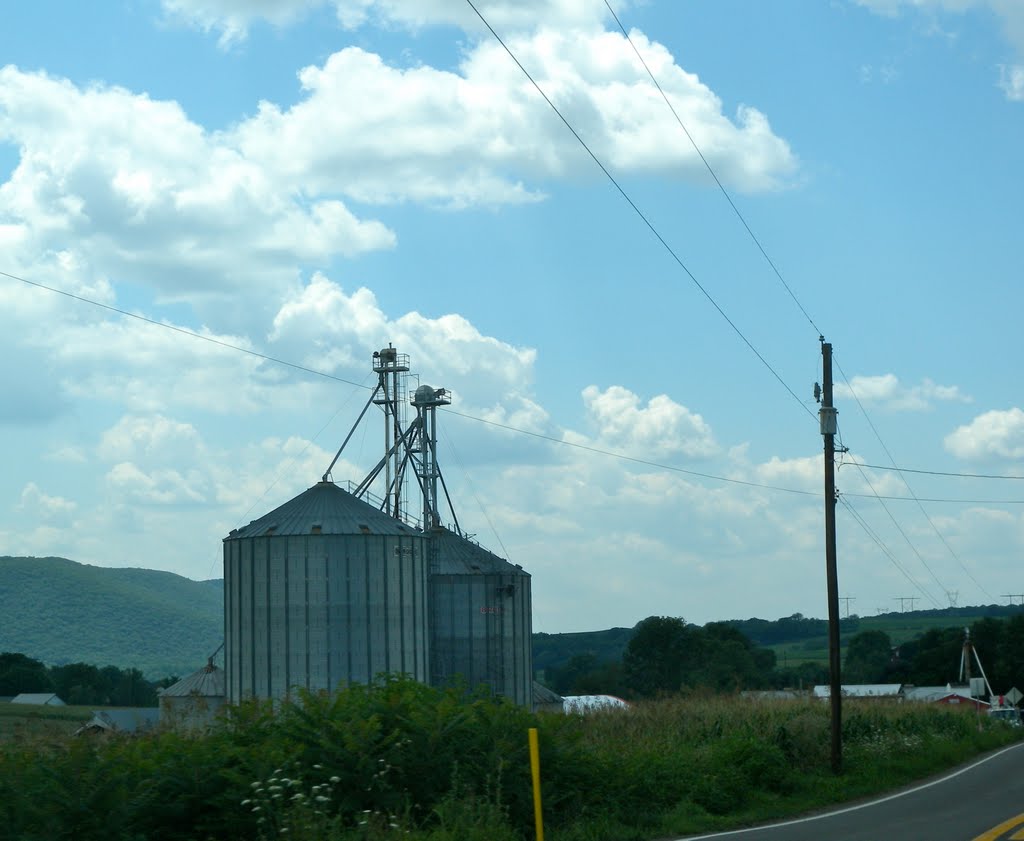 Farm Silos by Adam Elmquist