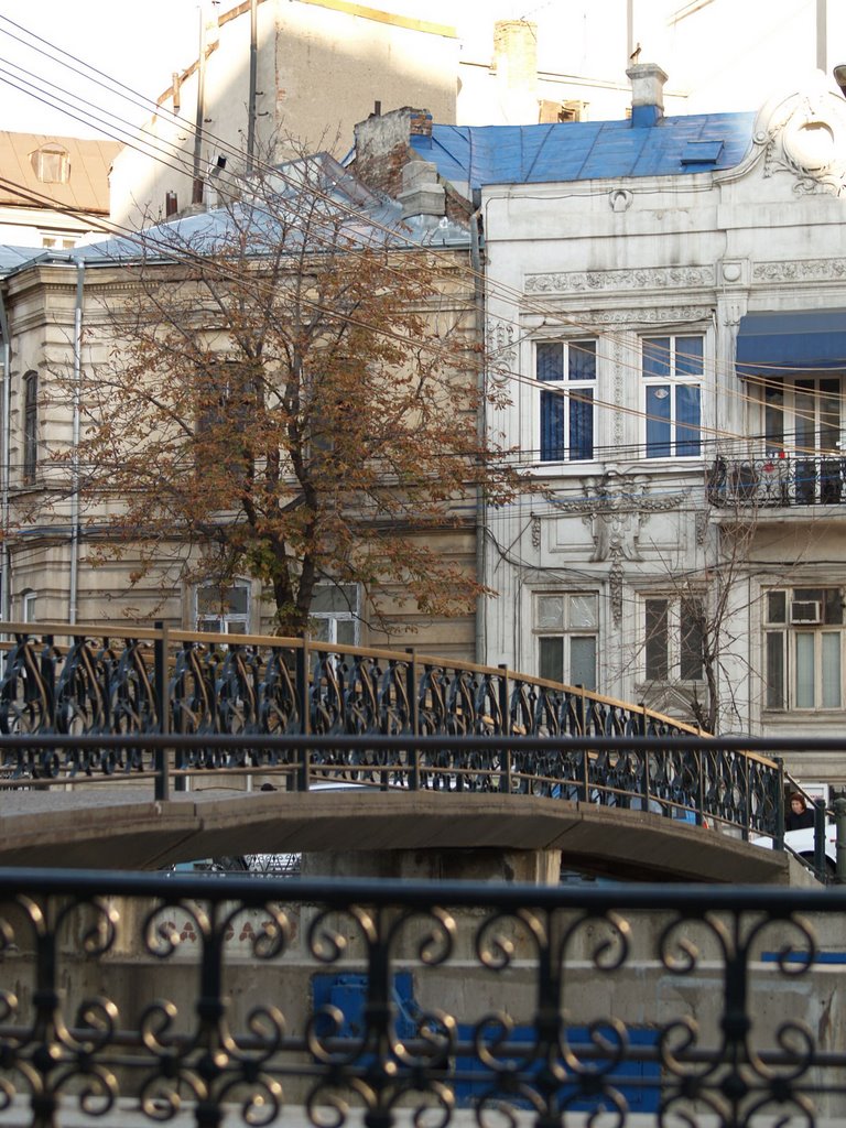 Bridge over Dambovita by alx_drg