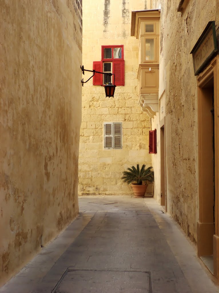 Calle y arquitectura típicas de Mdina, Malta - Typical street and architecture of Mdina, Malta · © Francisco dos Santos by Francisco dos Santos