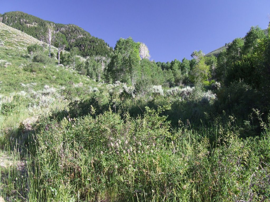 East Hickman Canyon - End of the road by acidman1968