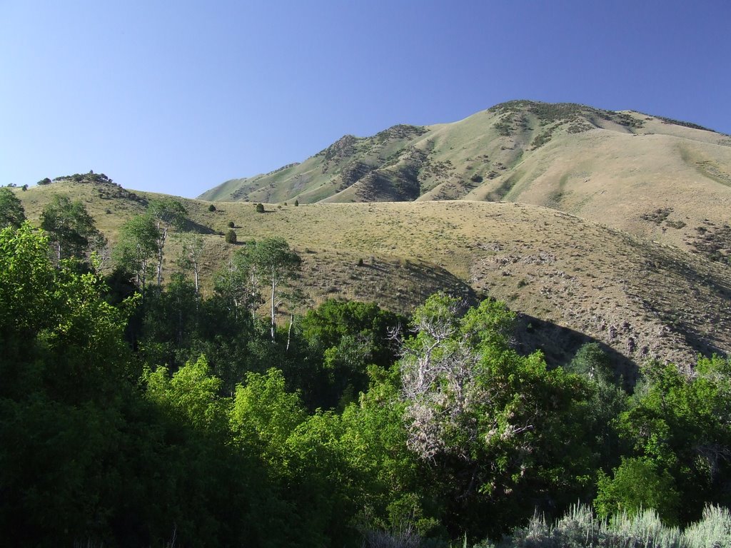 East Hickman Canyon - Looking north from the end of the road by acidman1968