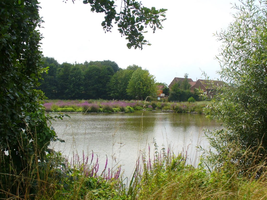 Etang et maisons de la rue du Chaudron by alcedo888