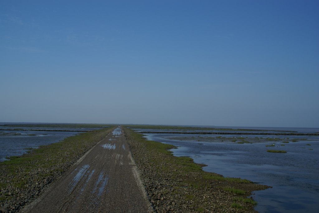 Låningsvejen til Mandø by Niels Laursen