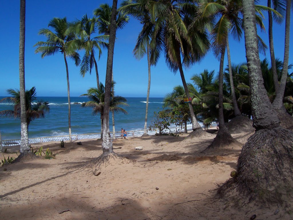 New Beach Plakaford - Salvador-Bahia-Brazil by Peterson Cunha