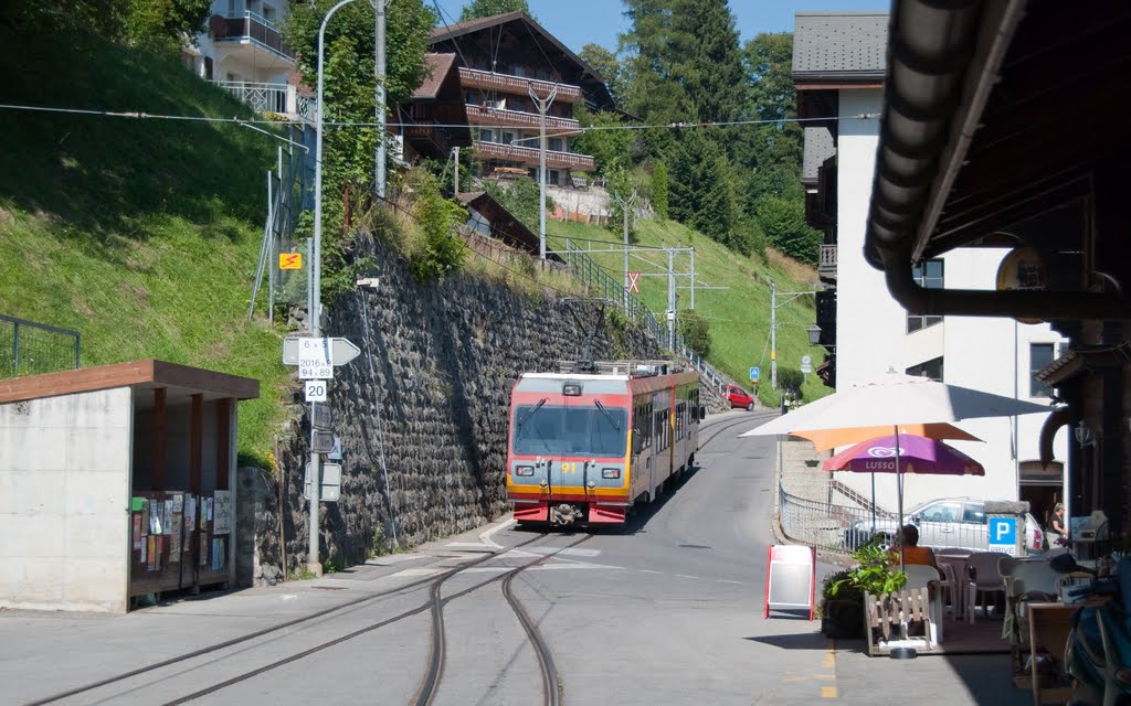 Bex-Villars-Bretaye train at Gryon by John Szmigielski