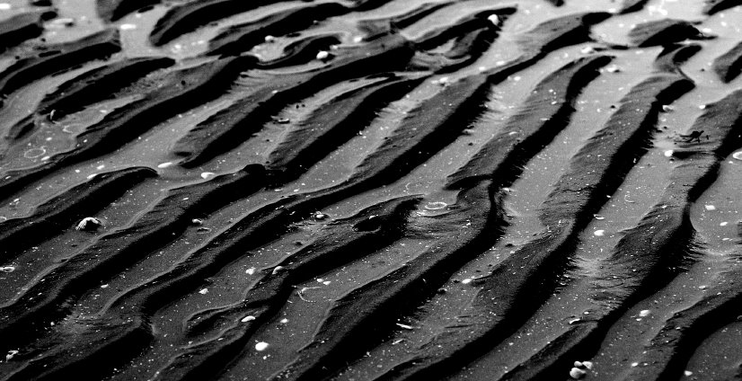 Ripples on Sandymount Strand by Peig Bunion