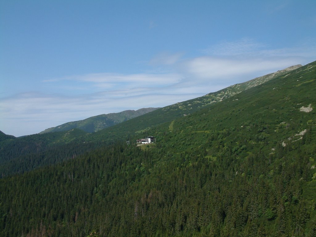 Chopok South Kosodrevina by Csatári Bálint