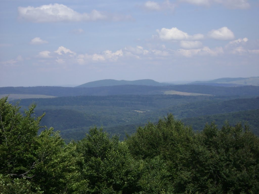 Widok na Cergową - www.polskiepanoramy.pl by Gargul