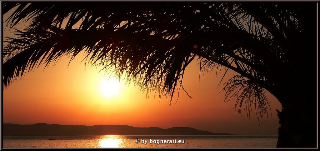 OTOK BRAČ by Albert ☺ bognerart.eu