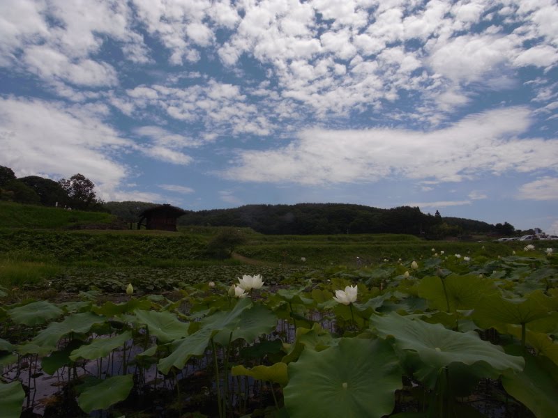 Sky and Cloud in Nagano pref. by Aki Maeda