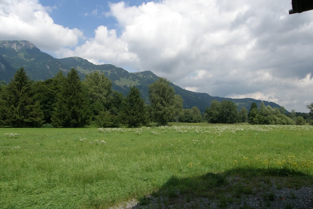 Tussen Ruggel Liechtenstein en Bangs Oostenrijk by Thomas Schroor