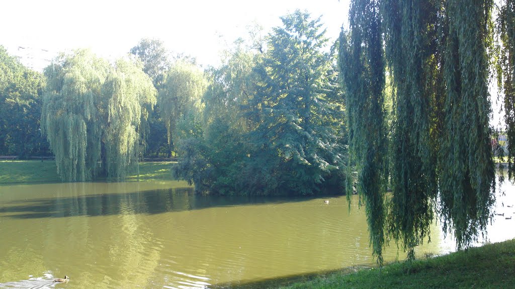 Park Widzewski. by Bogdan O.357