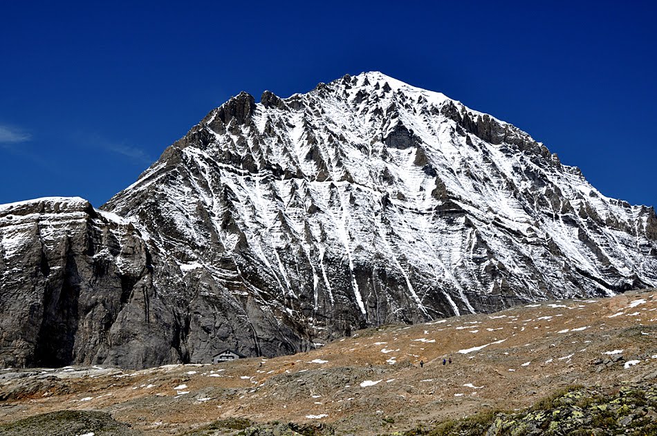 Lötschenpasshütte und Balmhorn (3698m) by Kay69