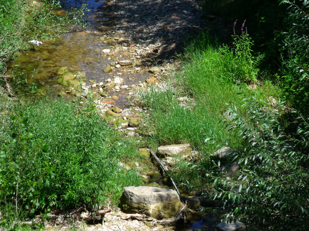 Faenza - Via S.Martino - Dal ponte sul Torrente Marzeno - Un airone bianco si muove tranquillamente nel greto/ A white and untroubled heron in the bed of the river (1/08/2010) by esse est reminisci (SAVE PANORAMIO)