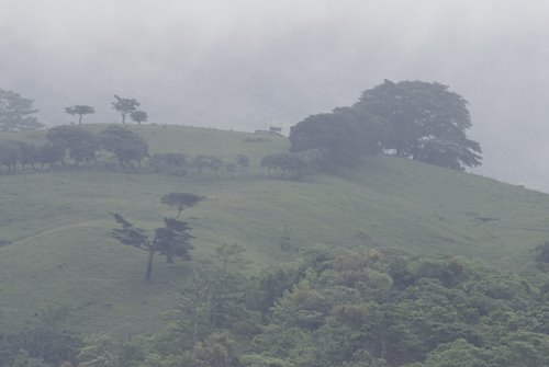 Fog in the Huasteca by carlesmiquel