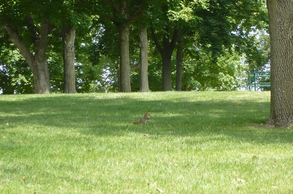 Winterset City Park by Gabor Petro "mapex"