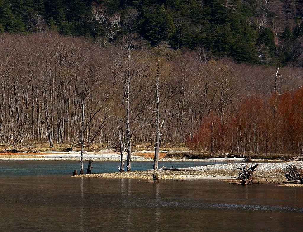 日本 上高地 大正池 Kamikochi,Nagano,Japan by Percy Tai  漆園童