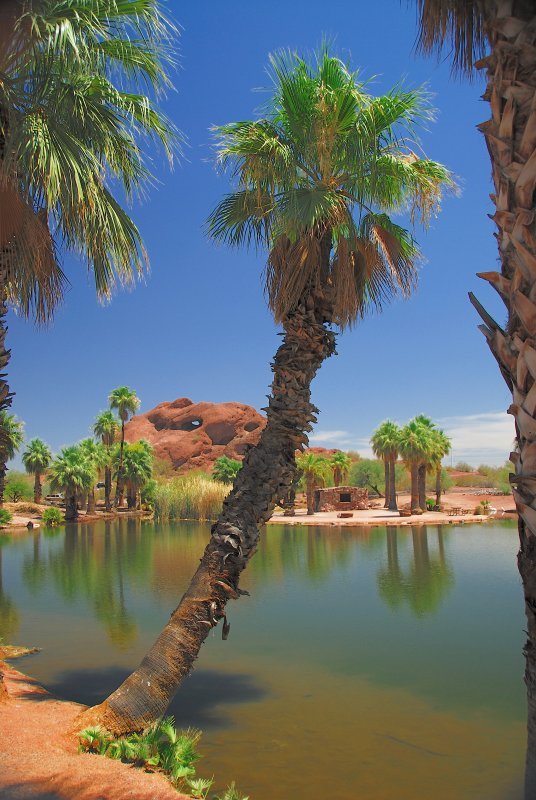 Papago Park, Phoenix, AZ by horsegoggles