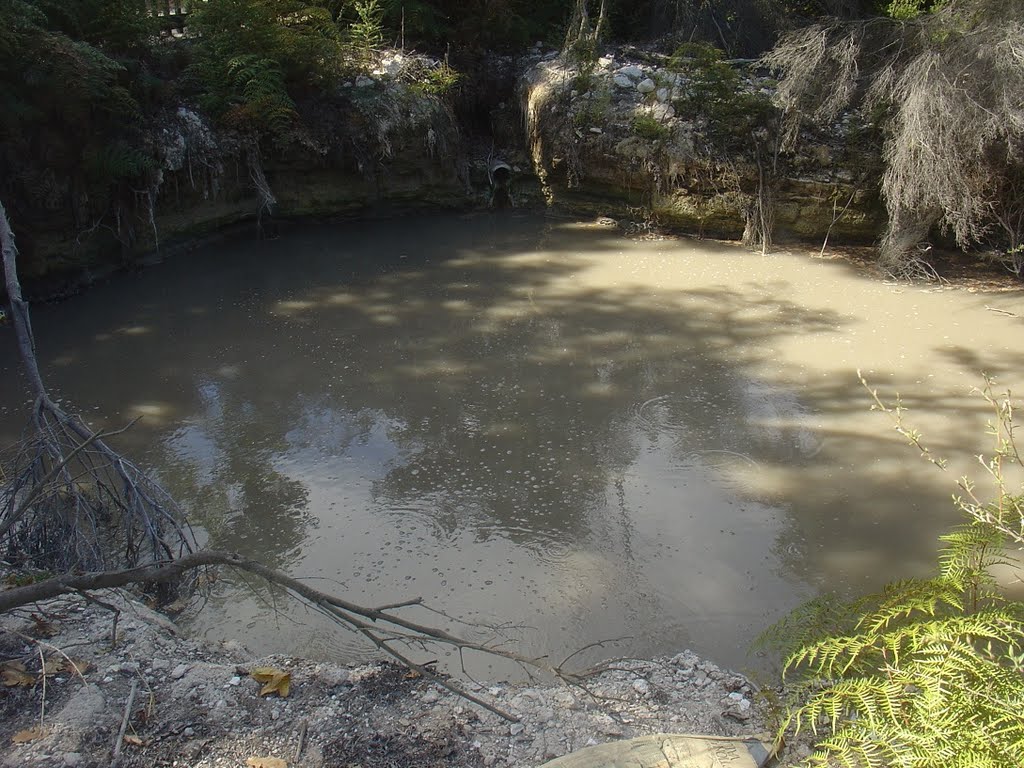 Kuirau Park - Rotorua - Bay of Plenty, North Island, New Zealand by Paul HART