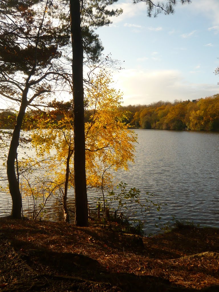 Blackroot pool sutton park birmingham by craig j