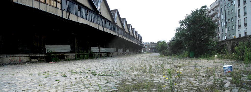 Anciens entrepots SNCF rue Pajol (terrain à reconstruire en 2008) by zulunation