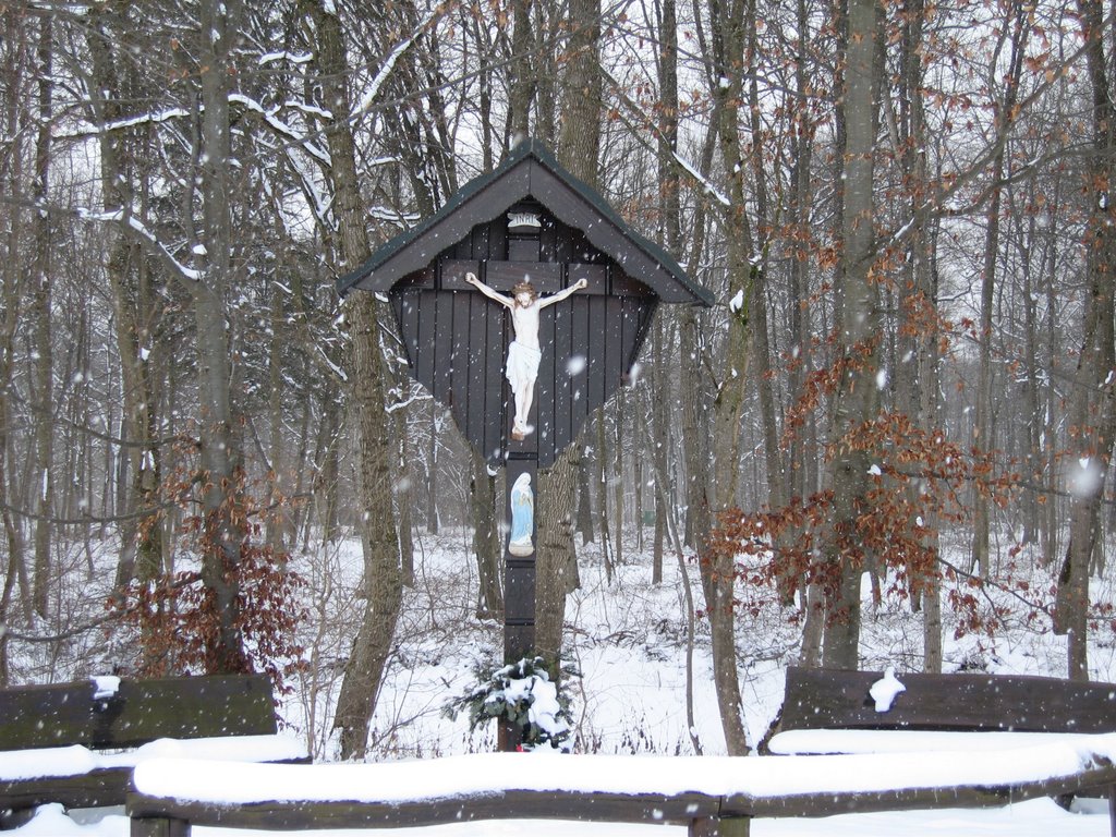 Feldkreuz zum Schafirrsee by almi