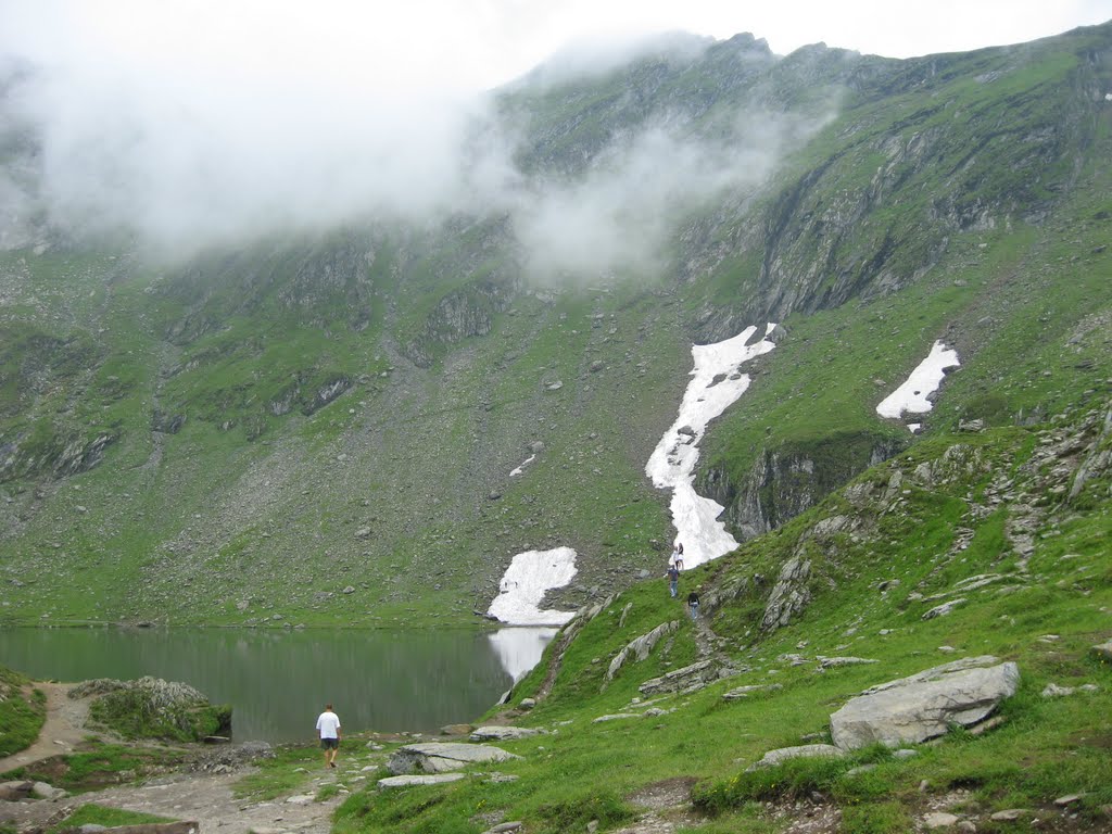 Transfagarasan by MarilenaG